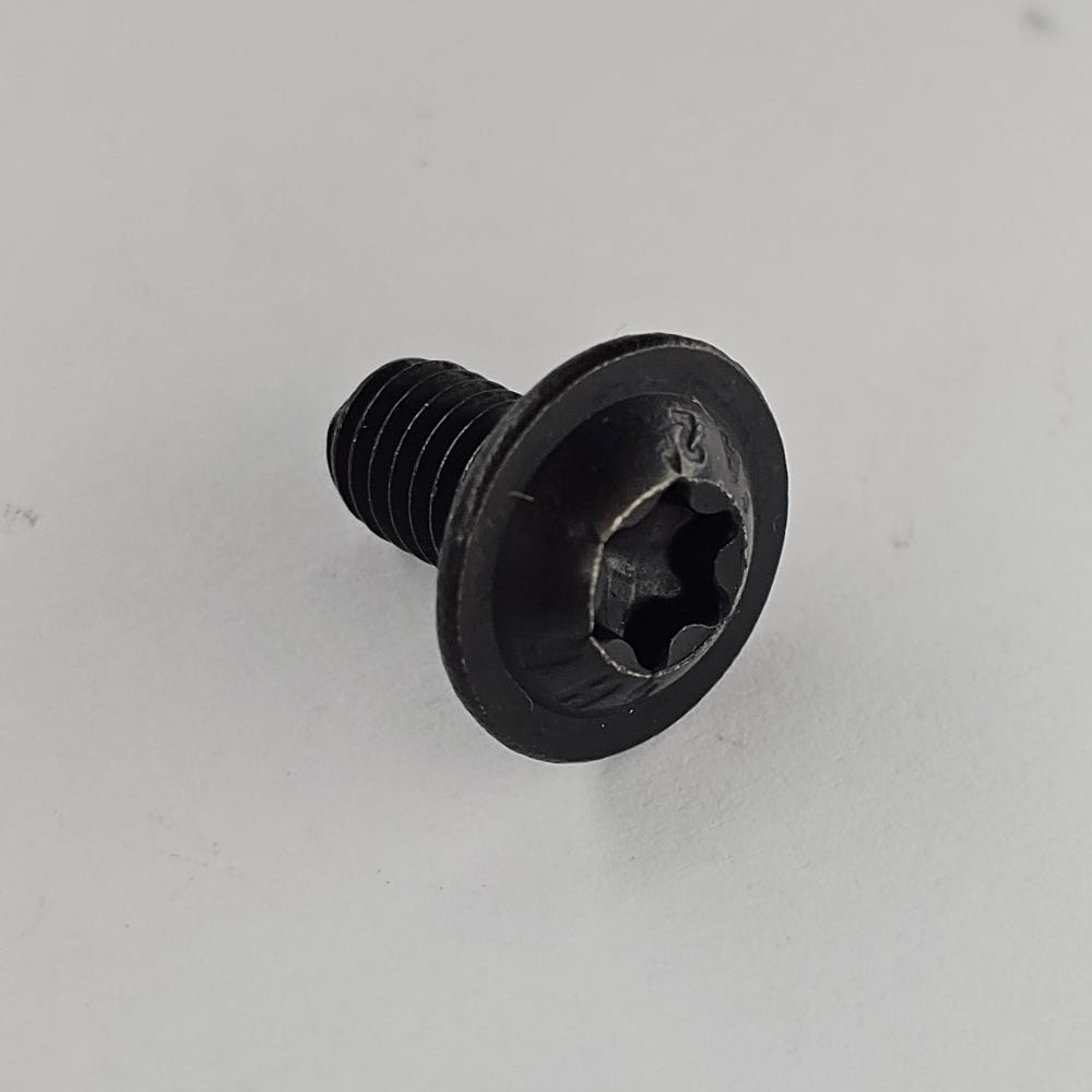 Tore Linsenkopfschrauben M6x10 Edehstahl schwarz